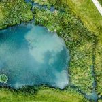 Wybór narybku ma bardzo duże znaczenie gdy chodzi o prywatne stawy hodowlane