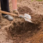 Zakładanie ogrodu przydomowego na gliniastej ziemi